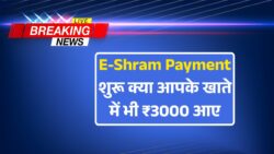 ई-श्रम कार्ड का सभी लाभार्थी का 3000 मिलन हुआ शुरू लिस्ट में अपना नाम चेक करें E sharm Card Payment News