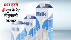 GST हटी अब दूध के दाम में भारी गिरावट ₹11/लीटर सस्ता GST Milk Price 2025